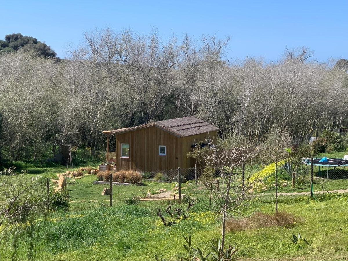 Cabana Casaotto Los Canos De Meca Eksteriør billede